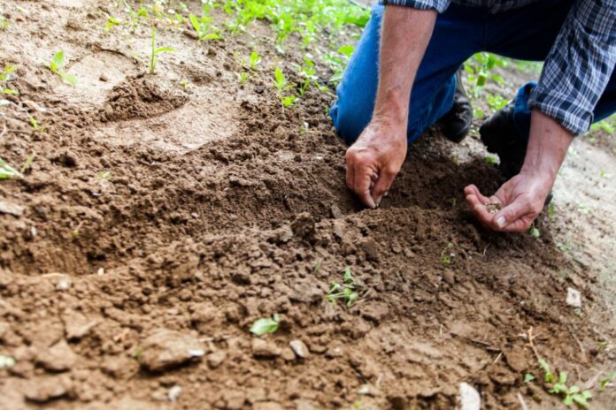 soil, land, environment